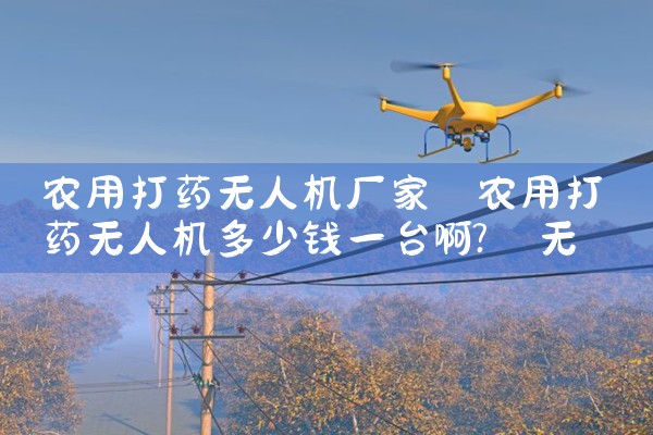 ũôҩ˻|˻UAV