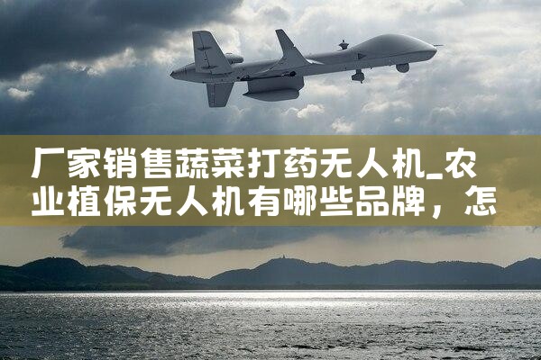 ߲˴ҩ˻|˻UAV