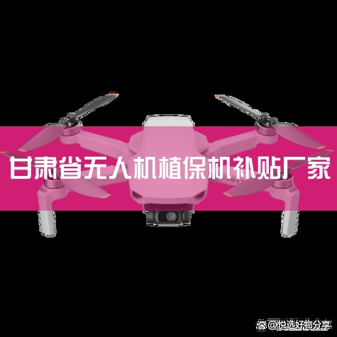 ⼸궼ʢӦϵͳ,һֱȶ,Ǽʮ,ḻ,ۺ÷ǳϸ,ͦ׵һ...|˻UAV